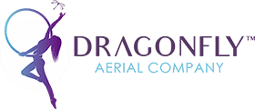 Dragonfly Aerial Company Logo