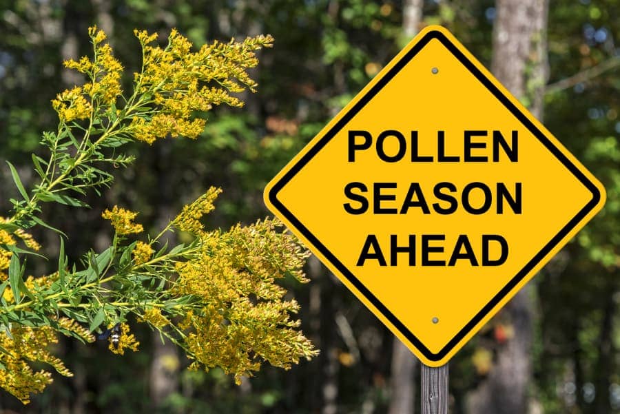 Traffic sign warning of impending pollen season