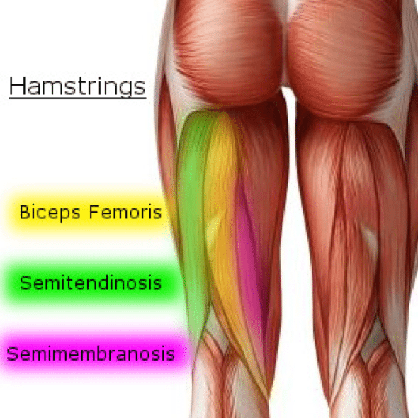 knee-pain-caused-by-a-hamstring-injury-wayne-nj-high-mountain