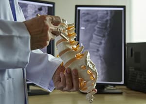 A neurosurgeon using pencil pointing at lumbar vertebra model in medical office.