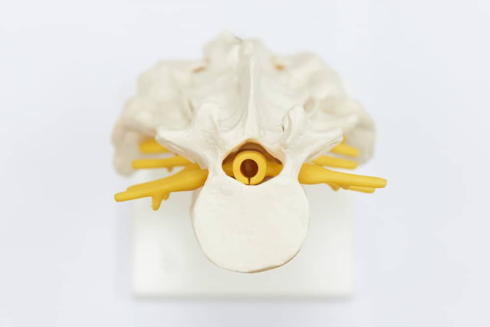 Spine Strengthening or Minimally Invasive Nerve Decompression