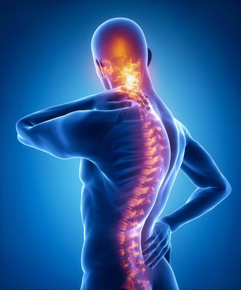 To Understand Your Back Pain, Understand Your Spine