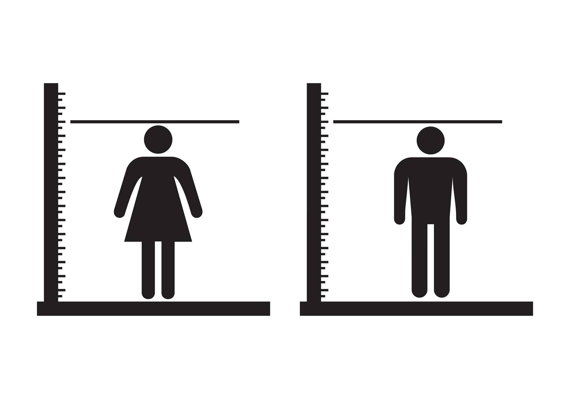 Man and woman height measurements icon. Vector illustration