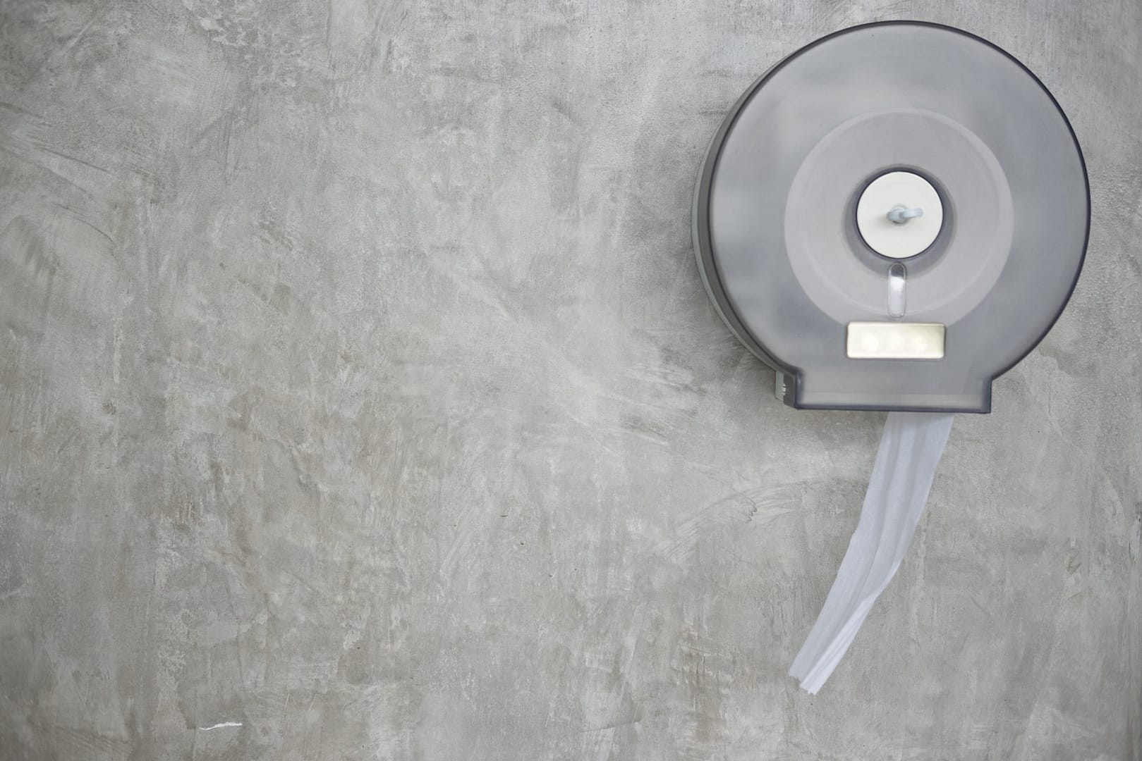 A toilet paper dispenser on the wall, displaying the convenience and user-friendliness of toilet room accessories technologies.