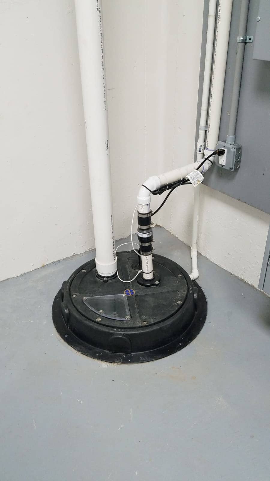 The 8 Best Sump Pumps of 2024