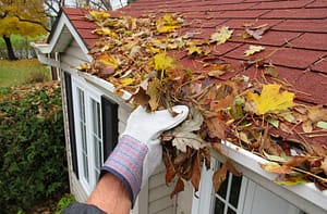 Cleaning leaves from gutter
