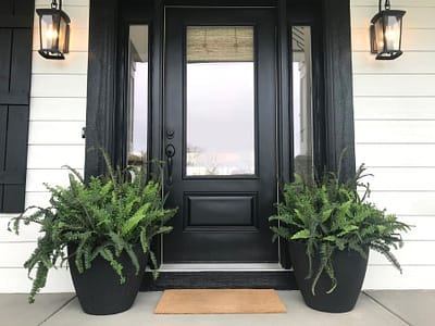 Black Front Door With Two Large Ferns 