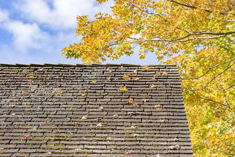 Autumn Leaves on a Roof