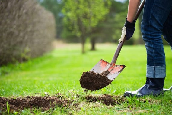 A man shovels soil