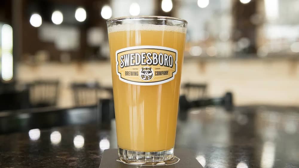 swedesboro-brewing-company-pint-glass-two-bridges-new-jersey