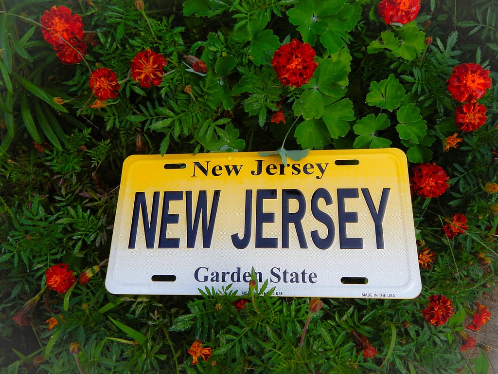 license plate that says NJ in a flower bush 