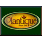 Plantique company logo