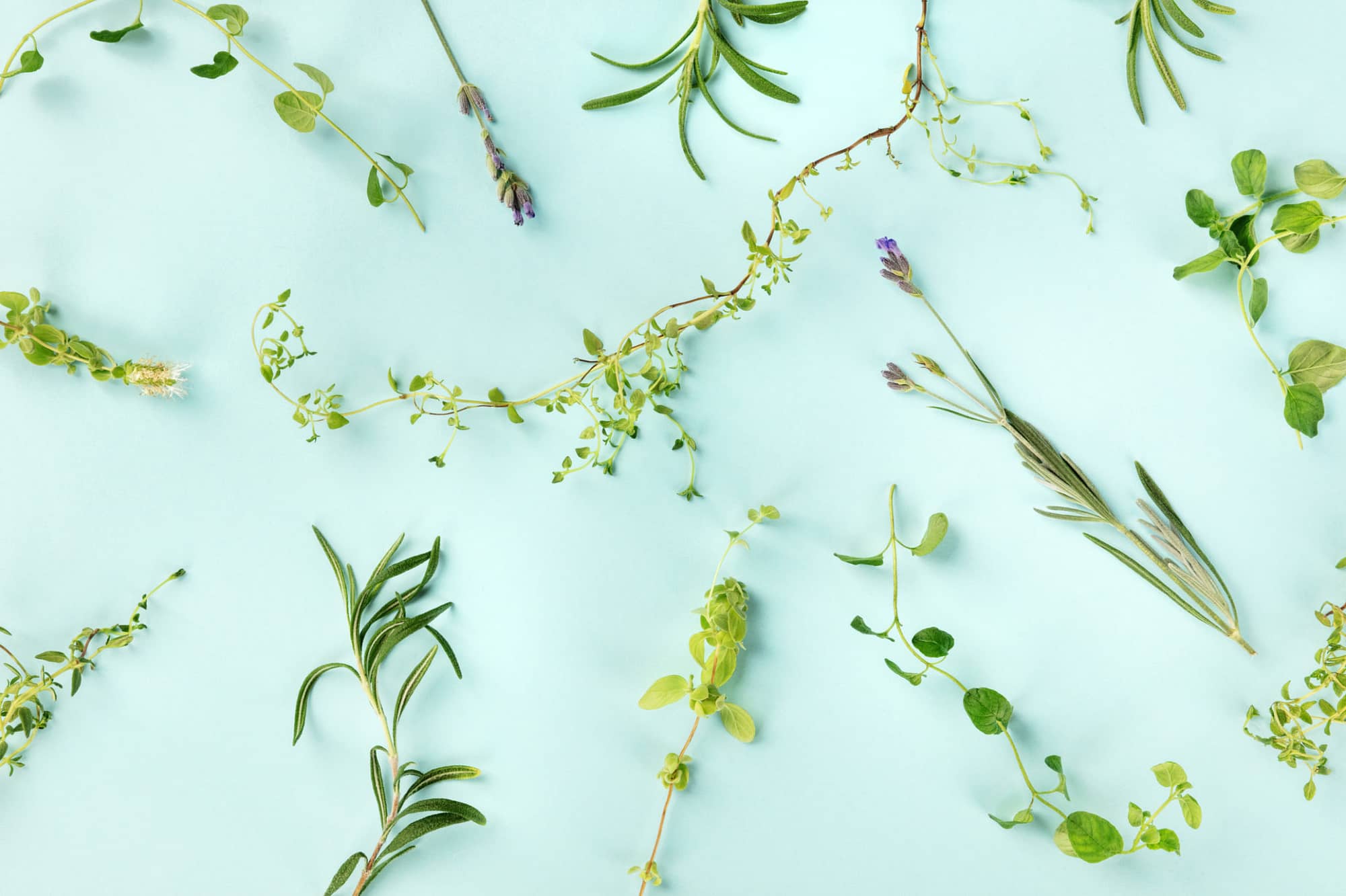 Botanical Flavors Signal Form & Function (LINK via Perfumer & Flavorist)