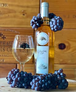 Salem-oak-vineyard-grapes-and-wine