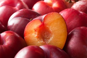 Fruit Stills: Plums