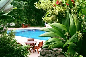 Outdoor pool surrounded by tropical plants