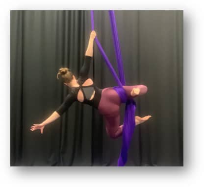 Fly Pole/Tilted Pole - Dragonfly Aerial Company