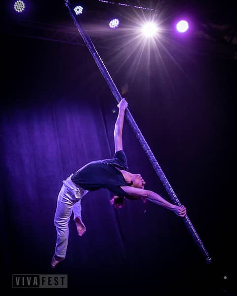 Fly Pole/Tilted Pole - Dragonfly Aerial Company
