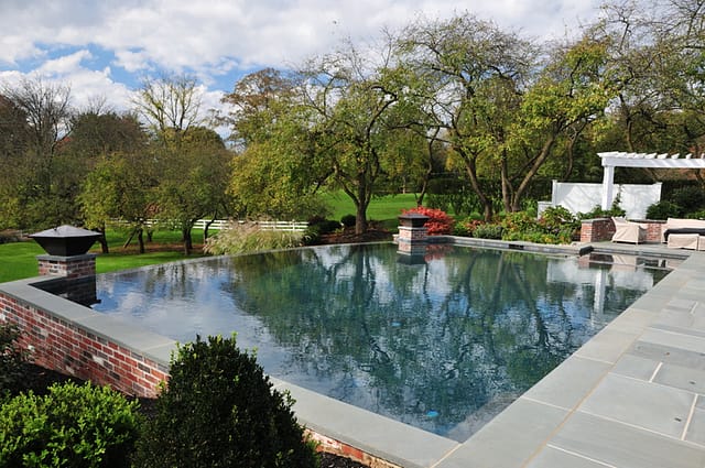 Outdoor Pool with Trees