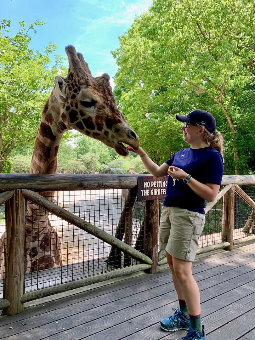 Wildlife Care and Rehabilitation - Unity Environmental University