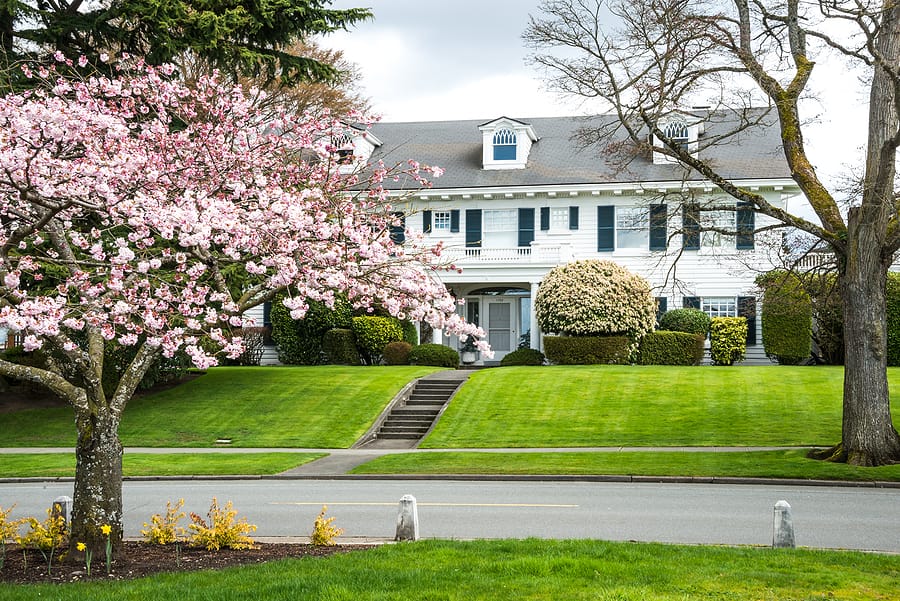 Large colonial style upscale home with nice green lawn and a flowering tree in the front yard.