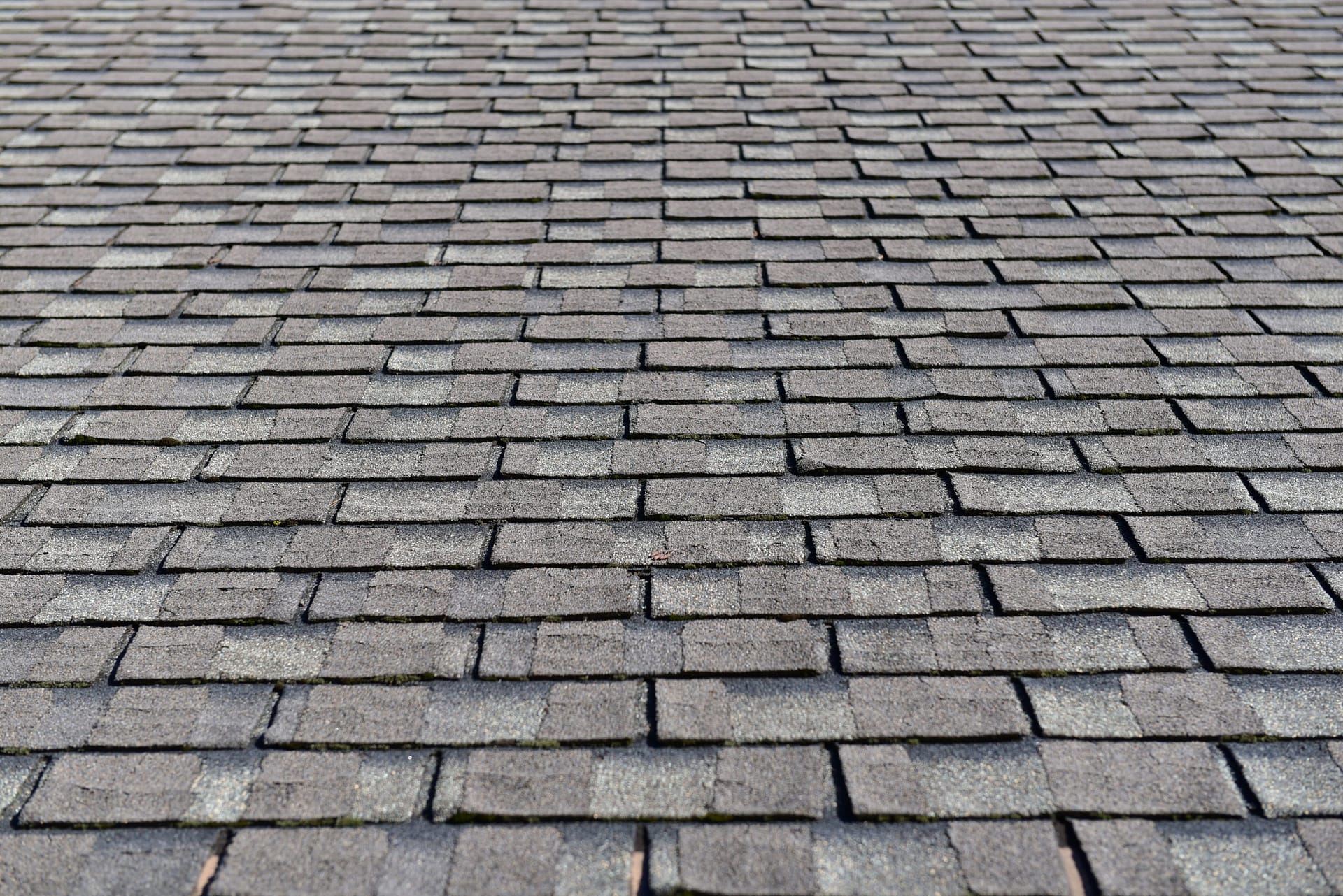Roofing surface. Shingles.
