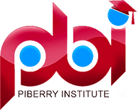 PiBerry Institute Logo