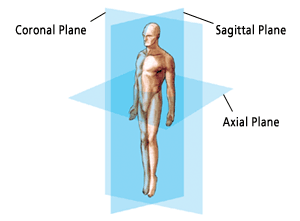 anatomical planes of the body
